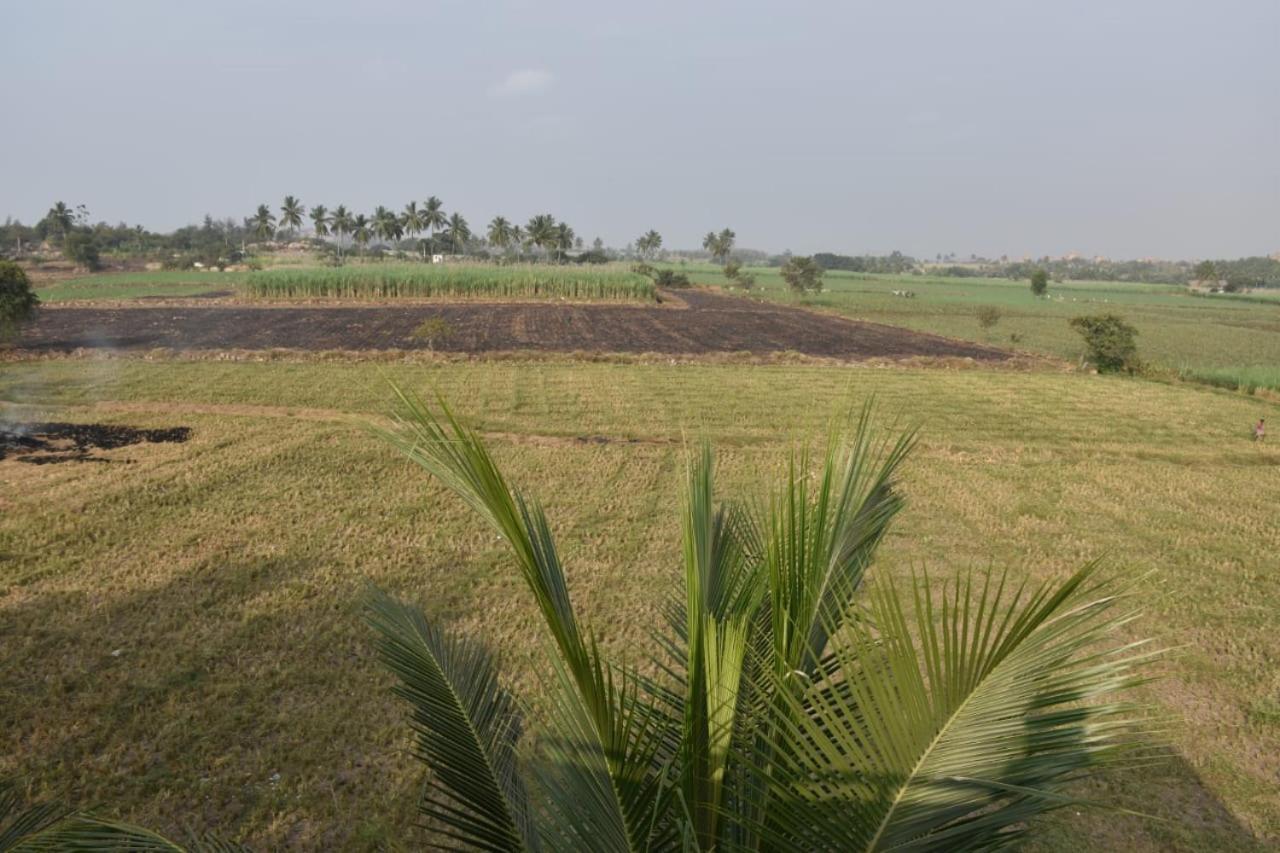 Coconut Homestay Hampi Eksteriør bilde