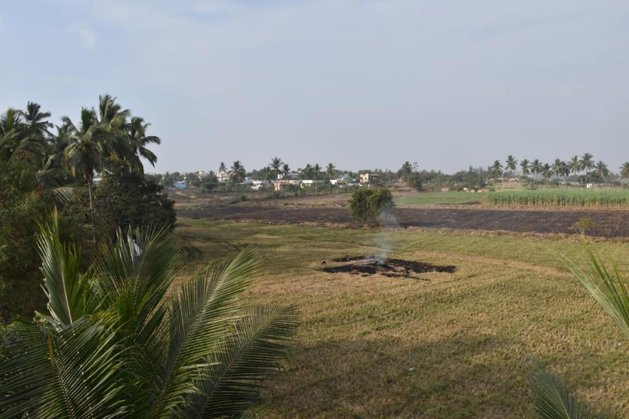 Coconut Homestay Hampi Eksteriør bilde